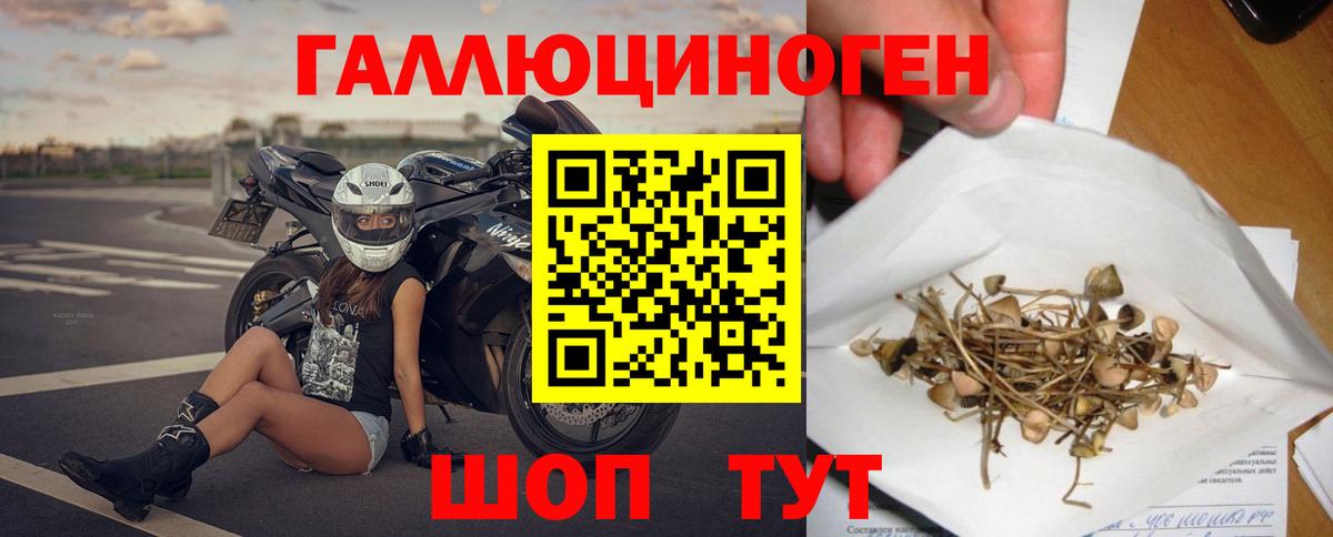 Галлюциногенные грибы GOLDEN TEACHER  Вход с VPN  Саранск  наркотики  Псилоцибиновые грибы Psilocybine cubensis 