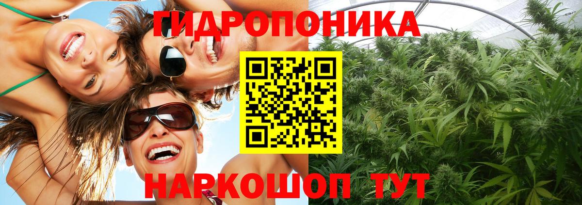 Саранск  Конопля конопля  Вход с VPN  Бошки марихуана Ganja  Марихуана LSD WEED 
